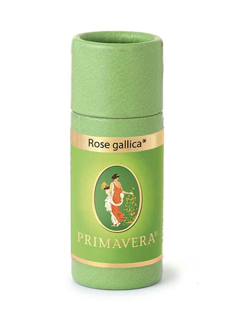 Rose gallika, sensual, erotic
