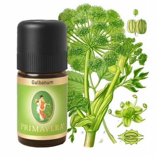 Galbanum bio Ätherisches Öl von Primavera | Angeldar