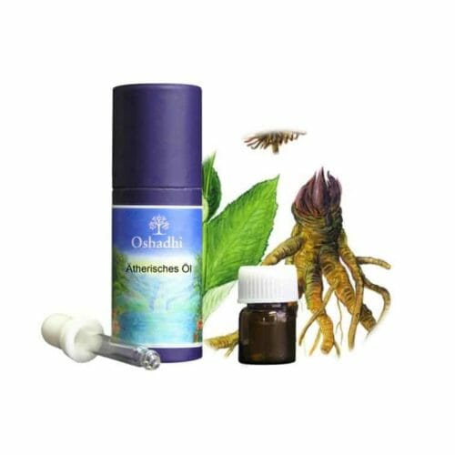 AlantWurzel. Der duft ist erdig