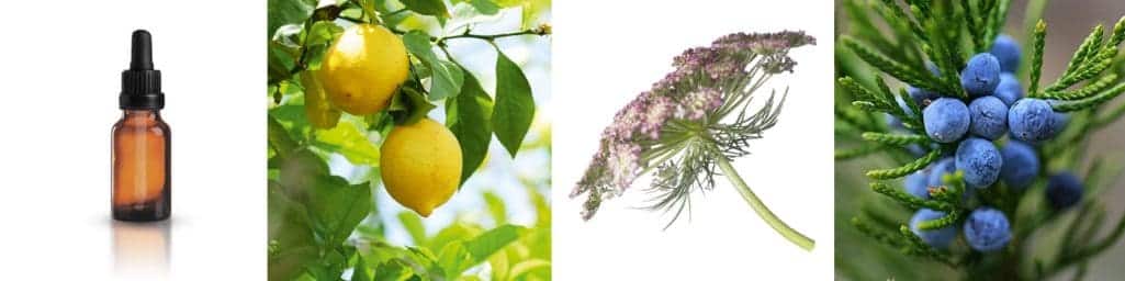 detoksikazija s efirnymi maslami 1