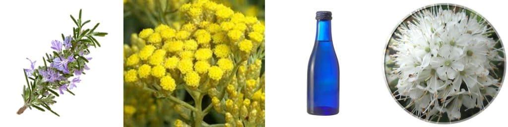 detoksikazija s gidrolatami