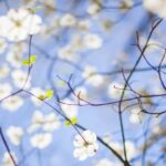 detoksikazija s massazhnymi maslami