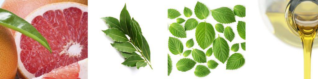 detoksikazija s massazhnymi maslami t