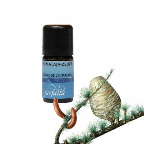 Himalayan Cedar Wild Collection Essential Oil Harmonious, pleasant and soft in scent, this oil conveys protection and security, and in meditations this oil allows us to find our mental powers and promotes intuition.