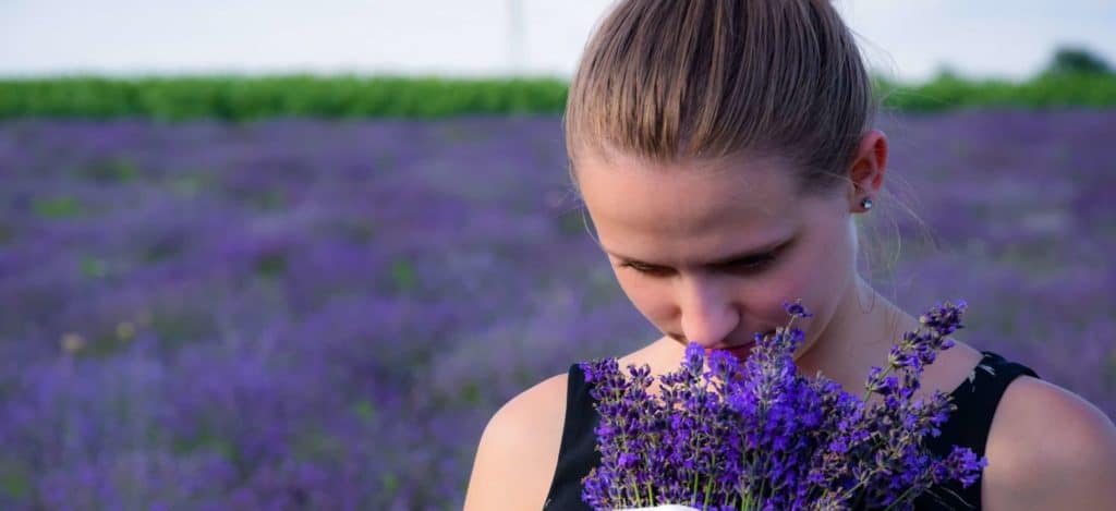 Aromatherapie Pflanzenkräfte für Körper Geist und Seele min