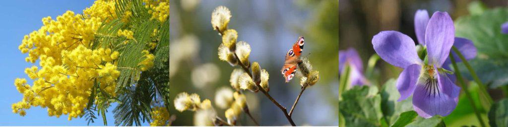 ощущение весны