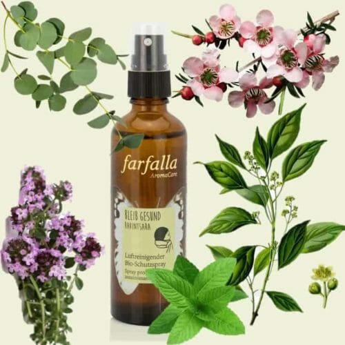 Air-purifying organic protective spray