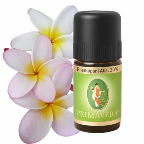Frangipani Absolue Ätherisches Öl 20% von Primavera