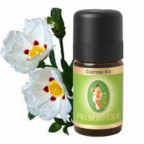 Rockrose organic essential oil from Primavera
