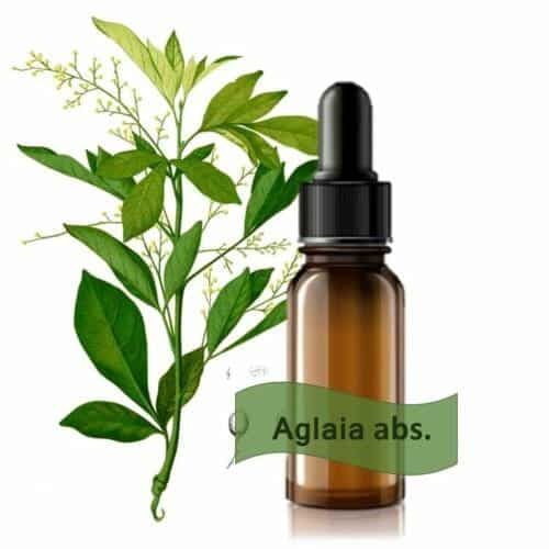 AGLAIA - CHIN. AGLAIA (CHINESE RICE FLOWER) ESSENTIAL OIL