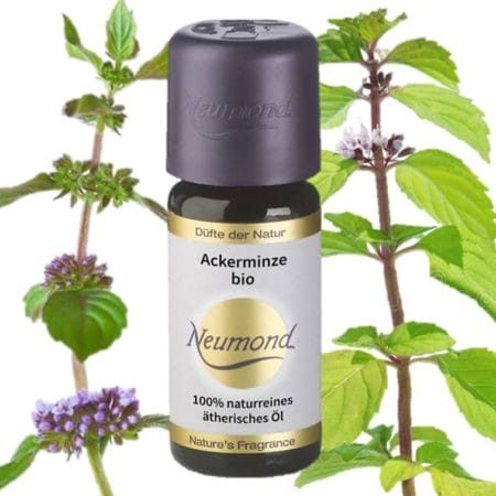 Field mint organic essential oil
