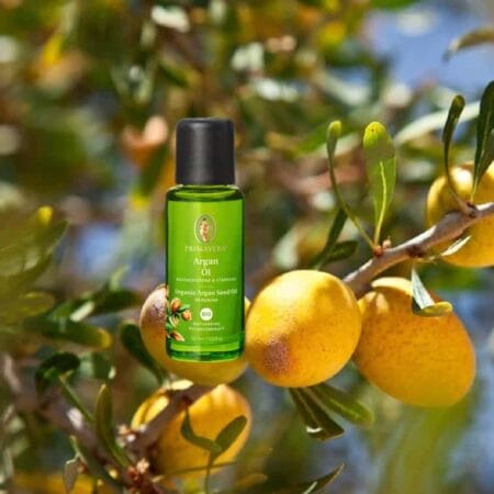 Arganöl bio ein Basisöl von Primavera