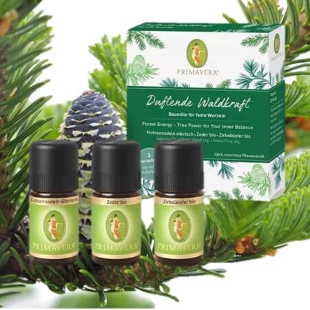 Fragrant Forest Power Set Essential Oils