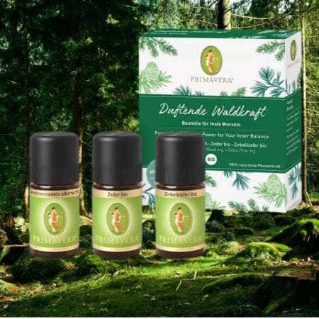 Duftende Waldkraft Set Ätherische Öle Primavera