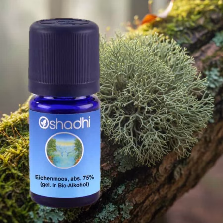 Eichenmoos Absolue 75% ätherisches Öl Oshadhi