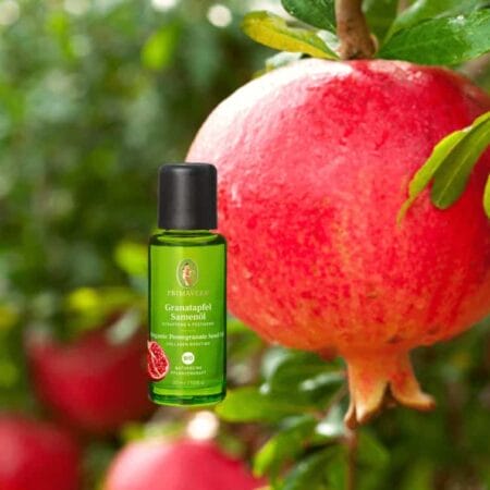 Grantapfelsamenöl bio Basisöl von Primavera