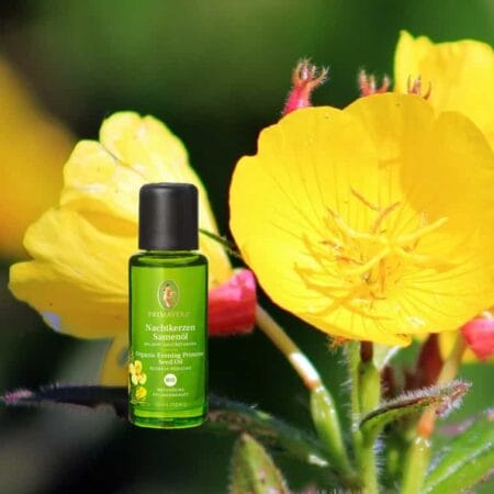 Nachtkerzenöl bio Basisöl von Primavera