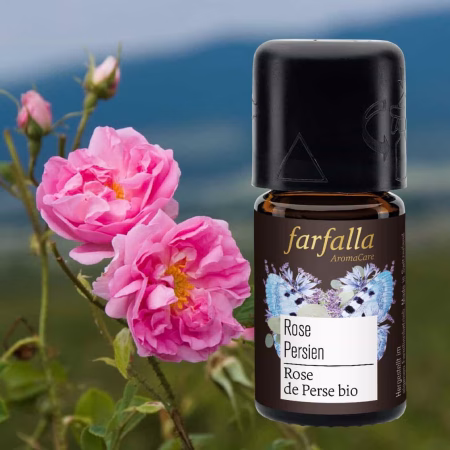 Rose Persien ätherisches Öl bio