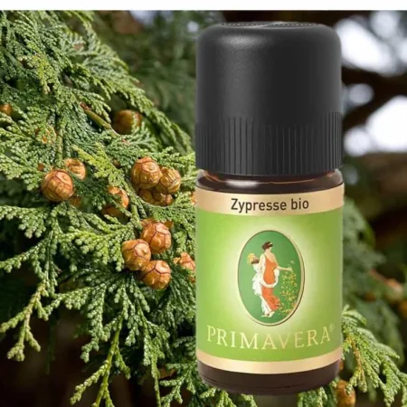 Zypresse bio Ätherisches Öl primavera life
